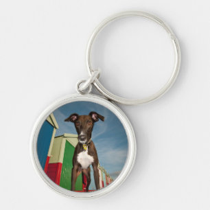 Ein Lurcher stehend vor einigen Strand-Hütten Schlüsselanhänger