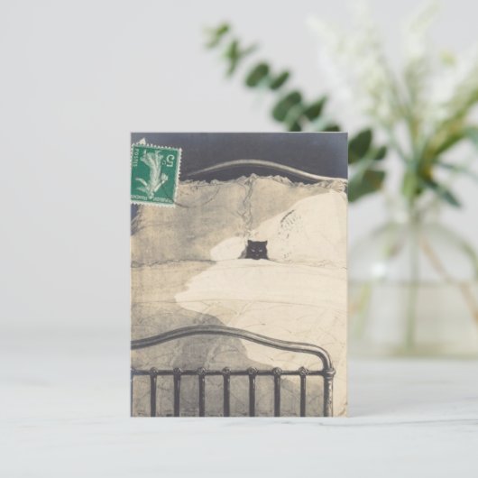 Ein Mad Kitty! Postkarte (Stehend Vorderseite)