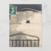 Ein Mad Kitty! Postkarte (Vorderseite)