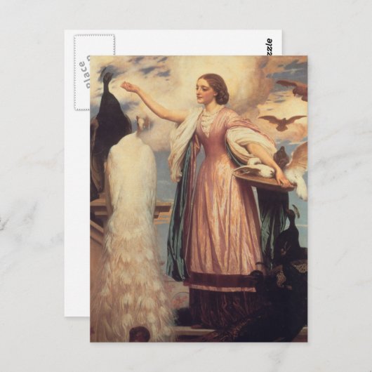 Ein Mädchen Füttre Peacocks Postkarte (Vorne/Hinten)