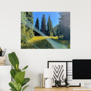 Ein magischer Wald Poster