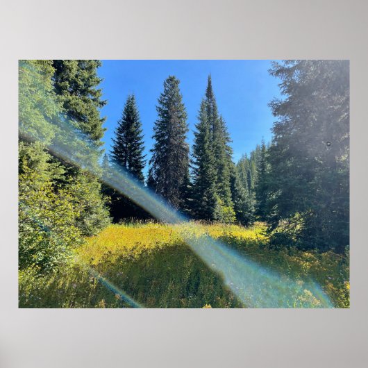 Ein magischer Wald Poster (Vorne)