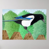 Ein Magpie steht auf einem Zaun Poster (Vorne)