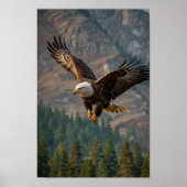 Ein majestätischer Adler stürzt stolz in einem nah Poster (Vorne)