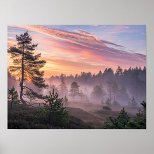Ein majestätischer borealer Wald bei Morgendämmeru Poster