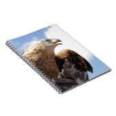 Ein majestätischer goldener Adler Notizblock (Rechte Seite)