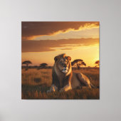 Ein majestätischer Löwe auf einer grasbewachsenen  Leinwanddruck (Vorderseite)