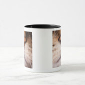 Ein Makrobild der Nase und des Munds einer Katze Tasse (Zentrum)