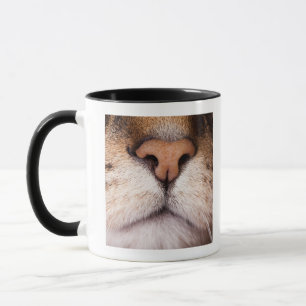 Ein Makrobild der Nase und des Munds einer Katze Tasse