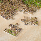 Ein Mallard Duck Jigsaw-Puzzle Puzzle (Seite)