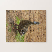 Ein Mallard Duck Jigsaw-Puzzle Puzzle (Horizontal)