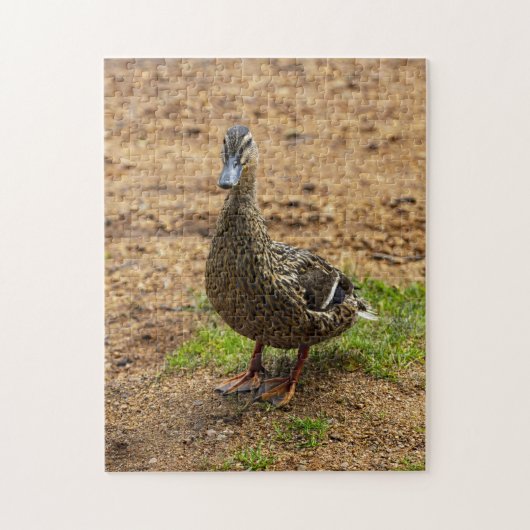 Ein Mallard Duck Jigsaw-Puzzle Puzzle (Vertikal)