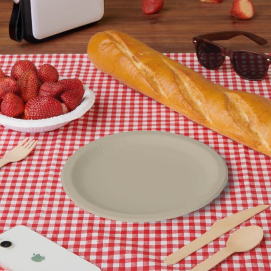 ein Mann in einem Anzug und Krawatte stehend vor e Pappteller (Picknick)