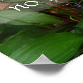 Ein Mann kann nicht mehr, kann er Weisheitsposter Poster (Ecke)