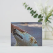 Ein Mann und sein Hund, Postkarte (Stehend Vorderseite)