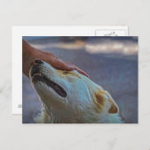 Ein Mann und sein Hund, Postkarte (Vorne/Hinten)