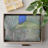 Ein männliche indische Pfau-Fans ist es Schwanz Seidenpapier (Geschenk)