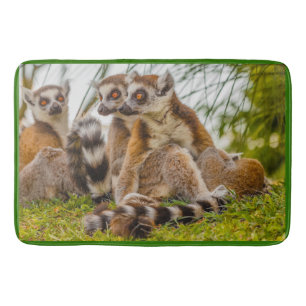 ein männlicher Lemur umarmt sein Weibchen auf eine Badematte