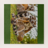 ein männlicher Lemur umarmt sein Weibchen im Rätse Puzzle (Horizontal)