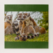ein männlicher Lemur umarmt sein Weibchen im Rätse Puzzle (Vertikal)