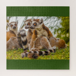 ein männlicher Lemur umarmt sein Weibchen im Rätse Puzzle