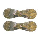 Ein männliches türkisches Paar im Herbst Baseball (Paneele)