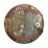 Ein männliches türkisches Paar im Herbst Baseball (Vorderseite Links)