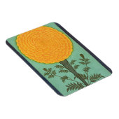 Ein Marigold aus dem kleinen Clive-Album (w/c auf  Magnet (Rechte Seite)