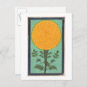 Ein Marigold aus dem kleinen Clive-Album (w/c auf  Postkarte (Vorne/Hinten)