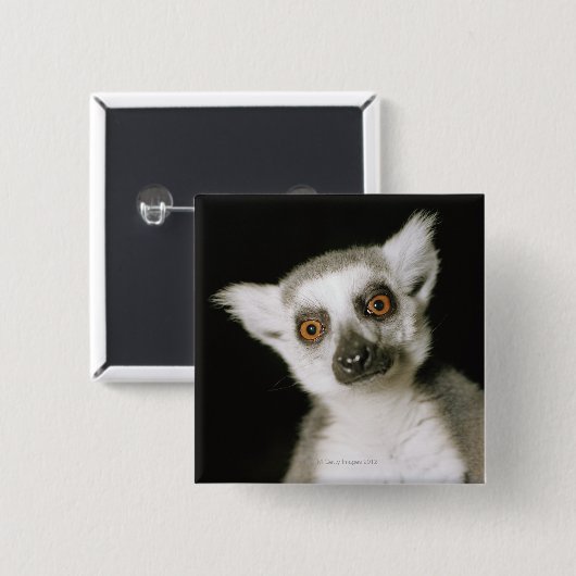 Ein Maulkorb. Button (Vorne & Hinten)