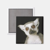 Ein Maulkorb. Magnet (Vorderseite/Rückseite)