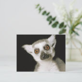 Ein Maulkorb. Postkarte (Stehend Vorderseite)