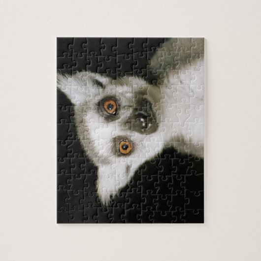 Ein Maulkorb. Puzzle (Vertikal)