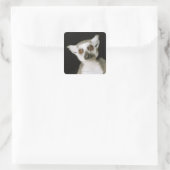 Ein Maulkorb. Quadratischer Aufkleber (Tasche)