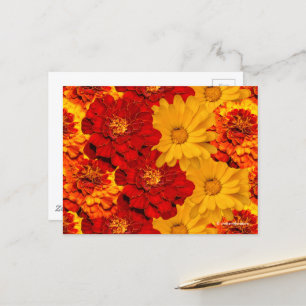 Ein Medley aus Rot-Gelb- und Orangenschwellen Postkarte