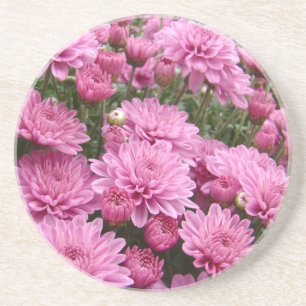 Ein Meer rosa Chrysanthemen #2 Getränkeuntersetzer