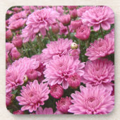 Ein Meer rosa Chrysanthemen #2 Untersetzer (Vorderseite)