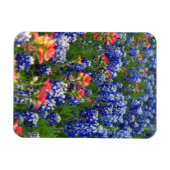 Ein Meer von Bluebonnets und indischen Pinseln Magnet (Horizontal)