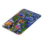 Ein Meer von Bluebonnets und indischen Pinseln Magnet (Linke Seite)