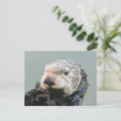 Ein Meeresotterphilosoph Postkarte (Stehend Vorderseite)