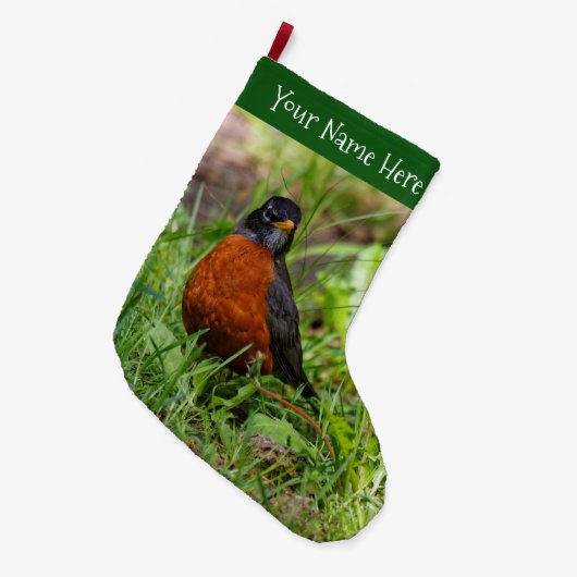 Ein merkwürdiger amerikanischer Robin im Gras Großer Weihnachtsstrumpf (Vorderansicht (hängend))