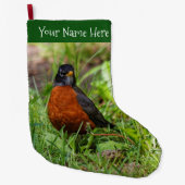 Ein merkwürdiger amerikanischer Robin im Gras Großer Weihnachtsstrumpf (Vorderseite)