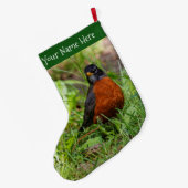 Ein merkwürdiger amerikanischer Robin im Gras Großer Weihnachtsstrumpf (Rückseite (Hängend))