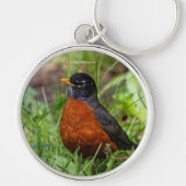 Ein merkwürdiger amerikanischer Robin im Gras Schlüsselanhänger (Vorne)