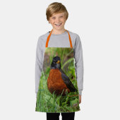 Ein merkwürdiger amerikanischer Robin im Gras Schürze (Getragen)