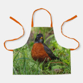 Ein merkwürdiger amerikanischer Robin im Gras Schürze (Vorderseite)