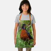 Ein merkwürdiger amerikanischer Robin im Gras Schürze (Insitu)