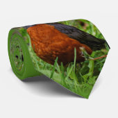 Ein merkwürdiger amerikanischer Robin Krawatte (Gerollt)