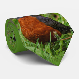 Ein merkwürdiger amerikanischer Robin Krawatte