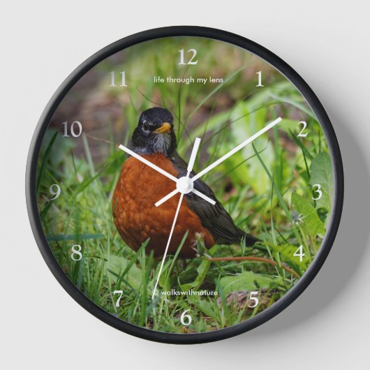 Ein merkwürdiger amerikanischer Robin Songbird im Uhr (Vorderseite)